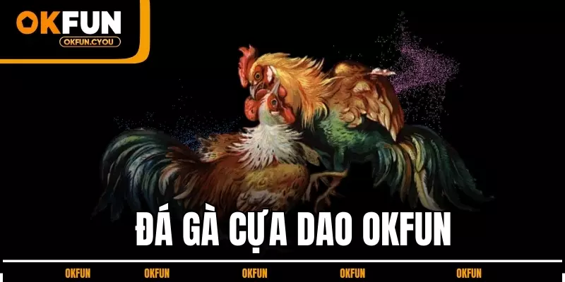 da-ga-cua-dao-okfun