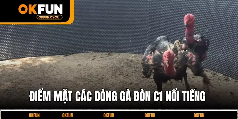 diem-mat-cac-dong-ga-don-c1-noi-tieng