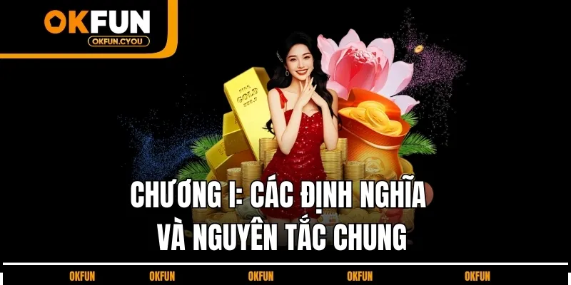 cac-dinh-nghia-va-nguyen-tac-chung-dieu-khoan-dieu-kien